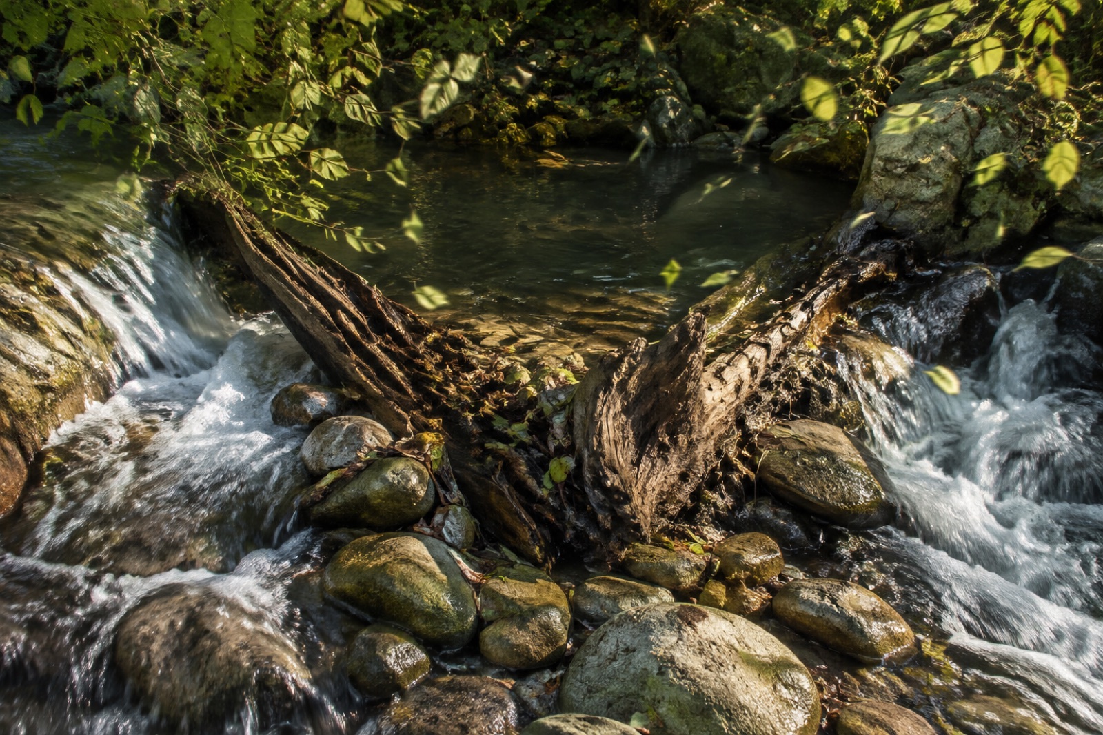 Due corsi d’acqua convergono tra pietre, legno e foglie mosse dal vento.
