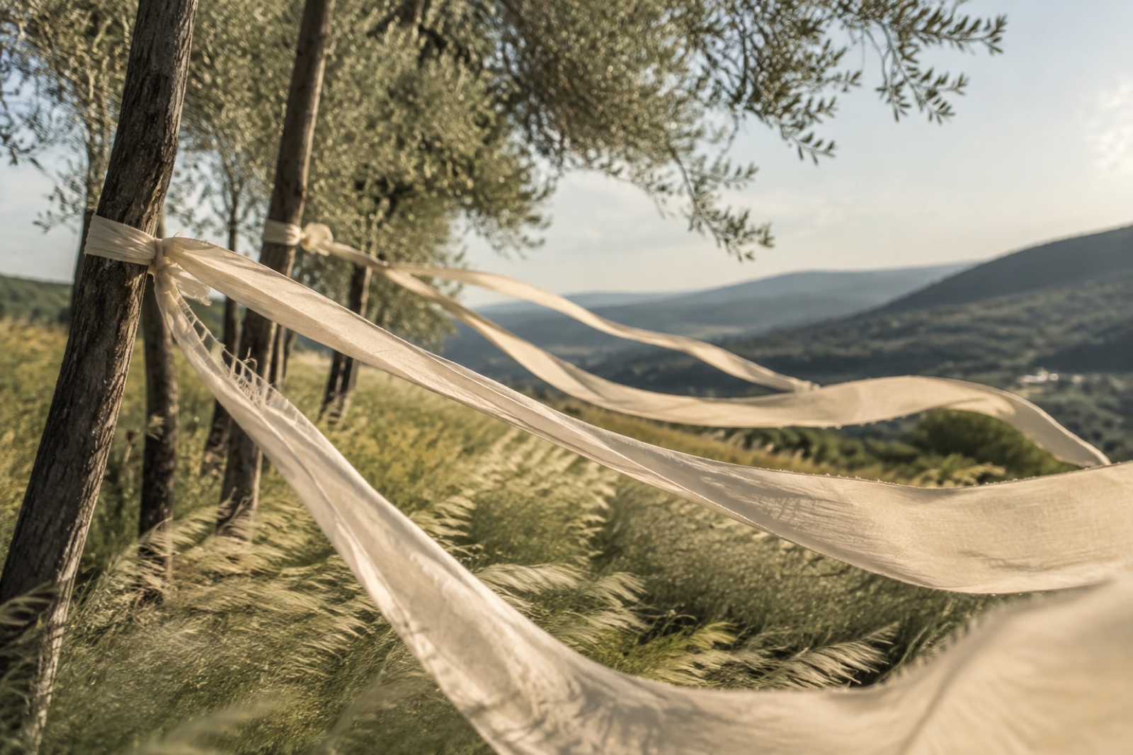 Linen ribbons moving in the wind among olive trees and tall grasses.